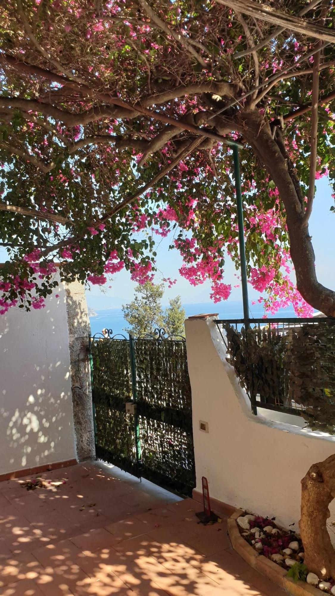 Villa Grace Amalfi Seaview Esterno foto